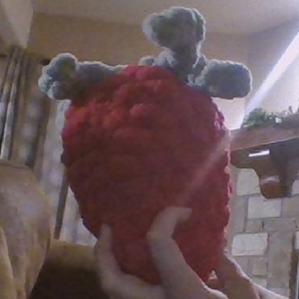 Handmade Red Strawberry Plush Toy